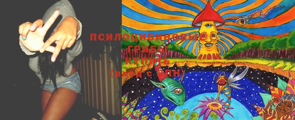 соль ск Гусь-Хрустальный