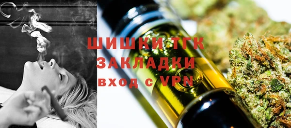 соль ск Гусь-Хрустальный